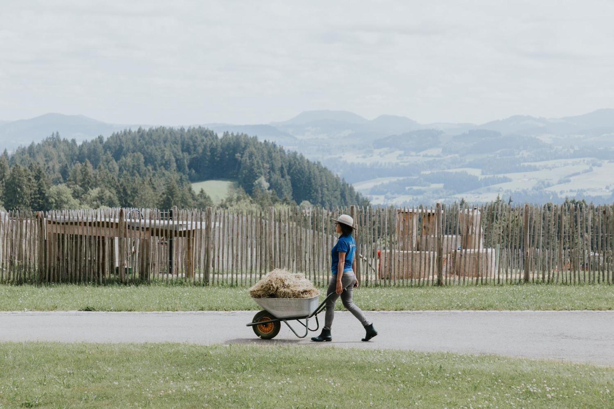 Heimatel - Ferienappartements Hochberg Argenbuhl ภายนอก รูปภาพ